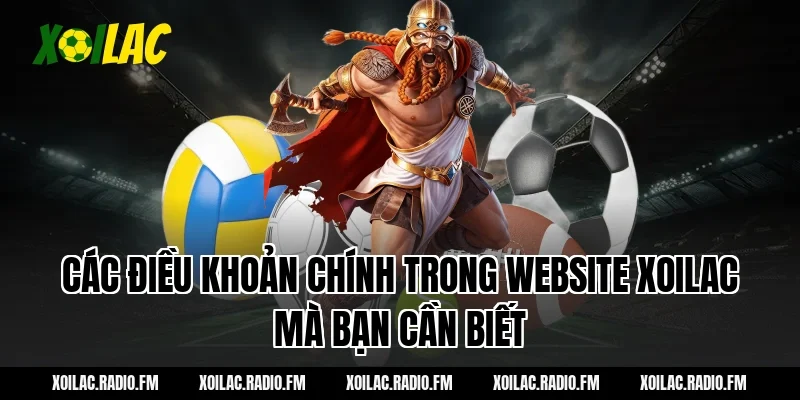 Các điều khoản chính trong website Xoilac mà bạn cần biết