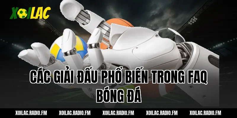 Các giải đấu phổ biến trong FAQ bóng đá