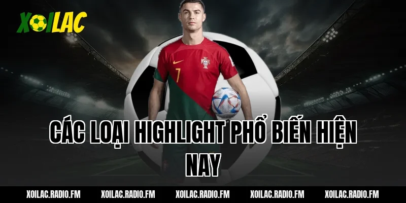 Các loại Highlight phổ biến hiện nay