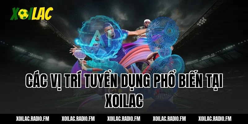 Các Vị Trí Tuyển Dụng Phổ Biến Tại Xoilac