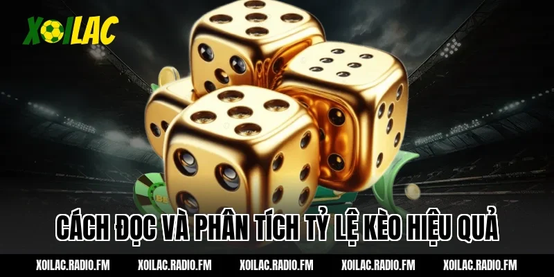 Cách đọc và phân tích tỷ lệ kèo hiệu quả