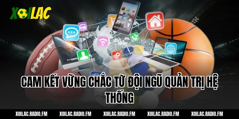 Cam kết vững chắc từ đội ngũ quản trị hệ thống