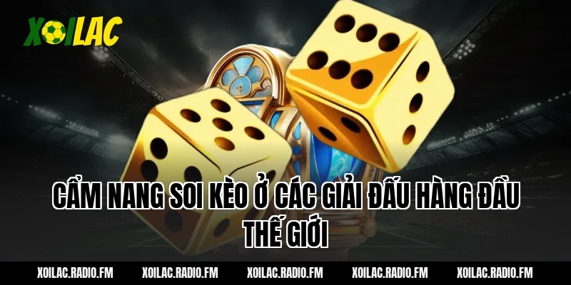 Cẩm nang soi kèo ở các giải đấu hàng đầu thế giới