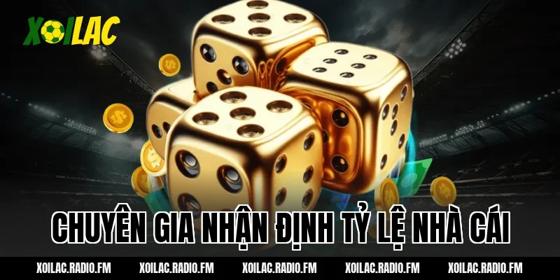 Chuyên gia nhận định tỷ lệ nhà cái
