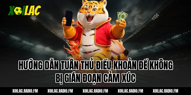 Hướng Dẫn Tuân Thủ Điều Khoản Để Không Bị Gián Đoạn Cảm Xúc