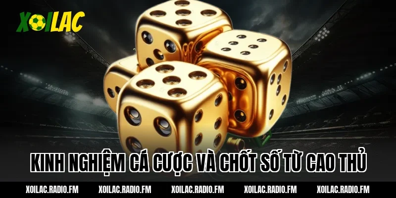 Kinh nghiệm cá cược và chốt số từ cao thủ