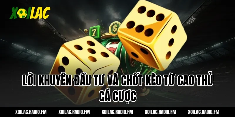Lời khuyên đầu tư và chốt kèo từ cao thủ cá cược