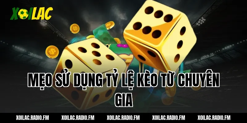 Mẹo sử dụng tỷ lệ kèo từ chuyên gia