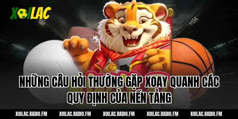 Những Câu Hỏi Thường Gặp Xoay Quanh Các Quy Định Của Nền Tảng