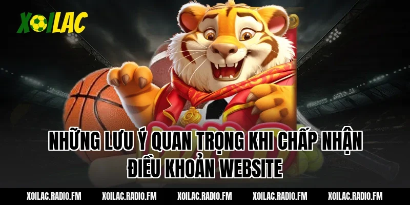 Những lưu ý quan trọng khi chấp nhận điều khoản website
