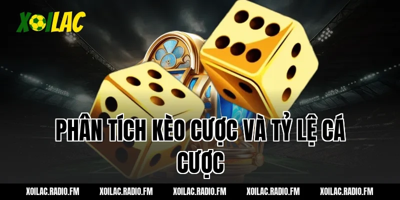 Phân tích kèo cược và tỷ lệ cá cược