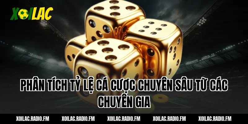Phân tích tỷ lệ cá cược chuyên sâu từ các chuyên gia