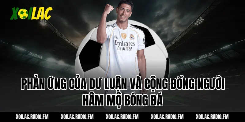 Phản Ứng Của Dư Luận Và Cộng Đồng Người Hâm Mộ Bóng Đá