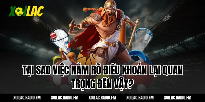 Tại Sao Việc Nắm Rõ Điều Khoản Lại Quan Trọng Đến Vậy?