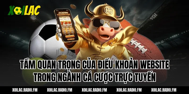 Tầm quan trọng của điều khoản website trong ngành cá cược trực tuyến