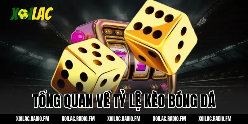 Tổng quan về tỷ lệ kèo bóng đá